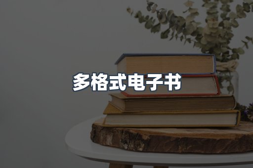 多格式电子书